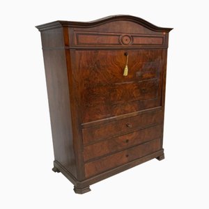 French Mahogany Palm Abattant Cabinet with Desk and Solomonic Columns, 19th Century