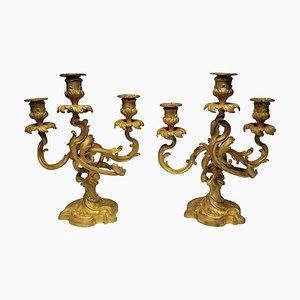 Brass Candlesticks, 1870s, Set of 2