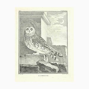 Jacques Blanchon, La Chouette, Etching by Jacques Blanchon, 1771, 1800s, Etching