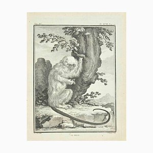 Jean Charles Baquoy, Le Mico, Etching by Jean Charles Baquoy, 1771, 1800s, Etching