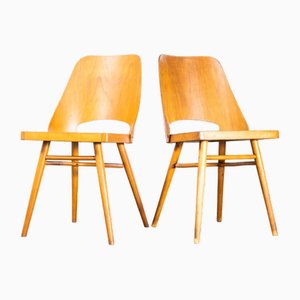 Honey Beech Dining Chairs by Radomir Hoffman for Ton, 1950s, Set of 2