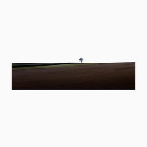 Laurent Campus, Loneliness, 2011, Archival Pigment Print