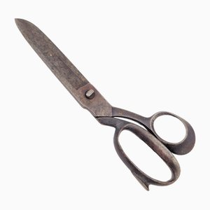 Antique Scissor in Iron, 1930