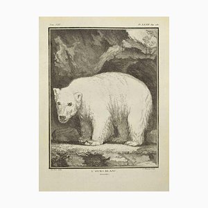 Pierre Charles Baquoy, L'Ours Blanc, Acquaforte, 1771