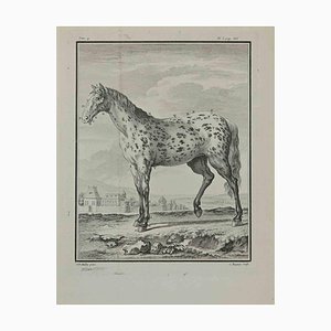 Pierre Charles Baquoy, Un caballo, grabado, 1771