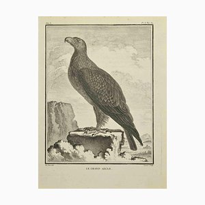 C. Lucas, Le Grand Aigle, Eau-forte, 1771