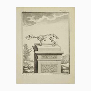 Louis Legrand, Skeleton, Etching, 1771