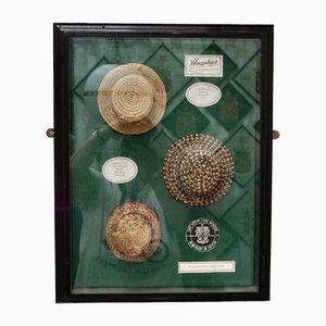 Antique Straw Boater Display Case from Snoxell & Sons, 1885