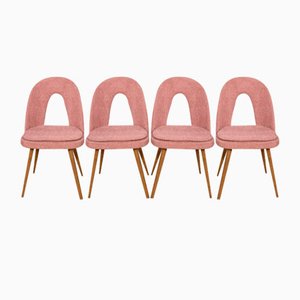 Dining Chairs by Antonín Šuman for Tatra, 1960s, Set of 4