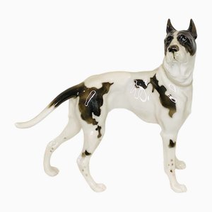 Gran danés alemán vintage