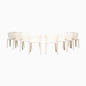 367 Hola White Dining Chairs by Hannes Wettstein for Cassina, 2000s, Set of 8