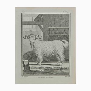 Jean Gullaume Moitte, Le bouc d'angora, Etching, 1771