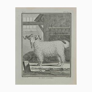 Jean Gullaume Moitte, Le Bouc d'angora, Radierung, 1771