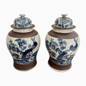 Antike chinesische Vasen mit Deckel aus Crackle, 1880, 2er Set