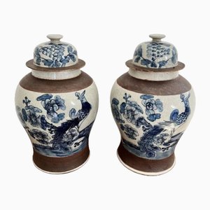 Jarrones chinos antiguos con tapa, 1880. Juego de 2