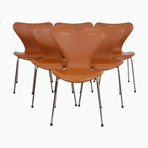 Chairs in Walnut and Leather by Arne Jacobsen for Fritz Hansen, 2000s, Set of 6