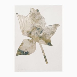 Jannis Kounellis, Rose, Técnica mixta, 1963
