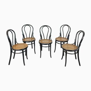 Dining Chairs in Curved Wood and Straw of Vienna from Thonet, Italy, 1950s, Set of 5
