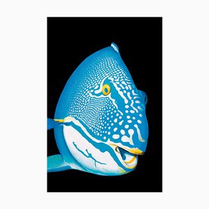 Patrick Chevailler, 543 Bicolorparrotfish, 2020, Impresión digital en lienzo