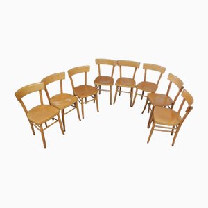 Stühle aus Buchenholz, 1950, 8 . Set