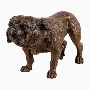 Bulldog austriaco de bronce pintado en frío de Franz Bergman, años 10