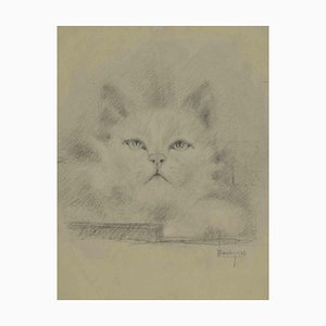 Augusto Monari, Le Chaton, Dessin au Crayon, Début du 20e Siècle