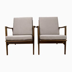 Set of Model 300-139 Armchairs from Swarzędz Factory, 1960s