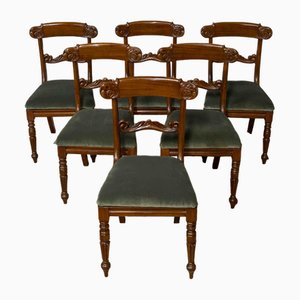 William 4th Mahogany Chairs, Set of 6