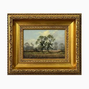 James Wright, Rural Tree Study in English Countryside, Oil on Canvas, 1980, Framed