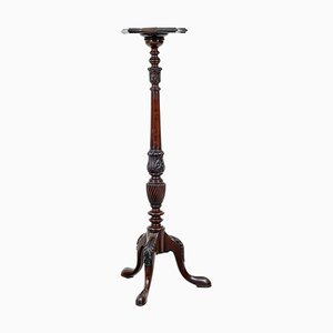 Early 20th Century Carved Mahogany Pedestal Stand, 1920s