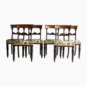 Vintage William IV Dining Chairs, Set of 6