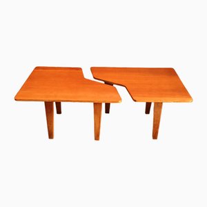 Tb14 Puzzle Coffee Table by Cees Braakman for Pastoe, 1950s, Set of 2