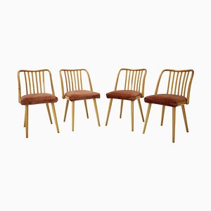 Beech Dining Chairs from Antonin Suman, 1960s, Set of 4