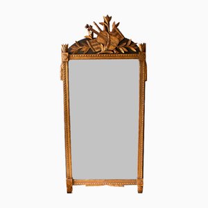 Antique French Louis XVI Style Mirror, 1900s