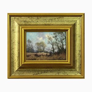 James Wright, Woodland Trees in the English Countryside, 1980, Oil on Canvas, Framed