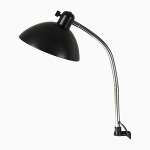 Lampada a morsetto con collo di cigno, Germania, anni '40