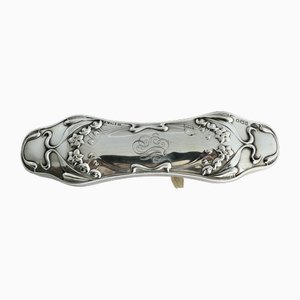 Spazzola Art Nouveau in argento di G. S & Co, fine XIX secolo