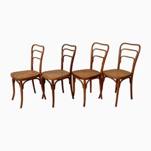 Model 248a Dining Chairs by Jacob & Josef Kohn, 1890s, Set of 10