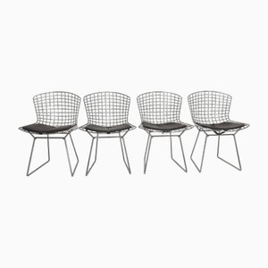 Vintage Side Chairs in Chrome by Harry Bertoia, 1950s, Set of 4