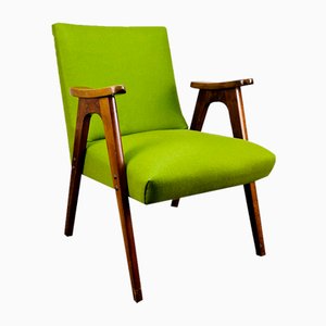 Mid-Century Green Lounge Armchair, 1950s