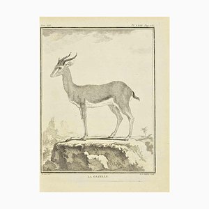 Pierre Francois Tardieu, Le Gazelle, Eau-forte, 1771