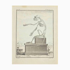Juste Chevillet, El esqueleto, Aguafuerte, 1771