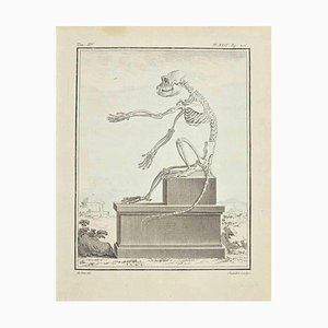 Juste Chevillet, The Skeleton, Etching, 1771