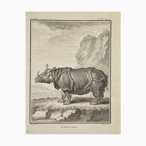 Jean Charles Baquoy, Le Rhinoceros, Etching, 1771