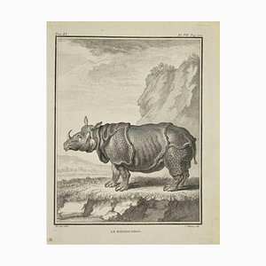 Jean Charles Baquoy, Le Rhinoceros, Grabado, 1771