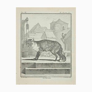 Jean Charles Baquoy, Le Renard, Etching, 1771