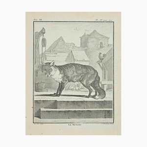 Jean Charles Baquoy, Le Renard, grabado, 1771