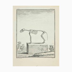 Jean Gullaume Moitte, El esqueleto, Aguafuerte, 1771