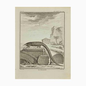 Juste Chevillet, Le Phatagin, Eau-forte, 1771