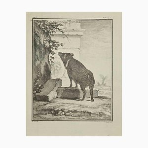 Jean Charles Baquoy, The Boar, Etching, 1771